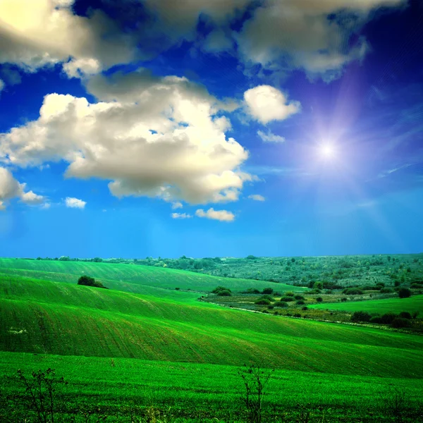 Zelené pole s oblohou — Stock fotografie