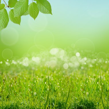 Yeşil natute arka plan