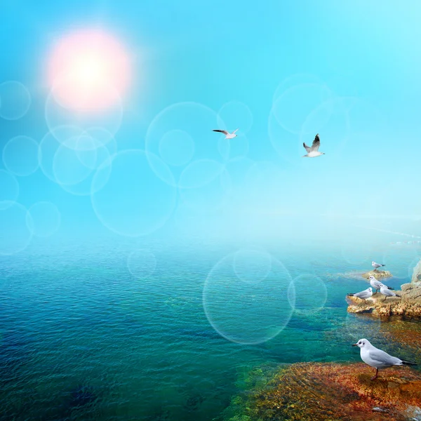 青い夏の海 — ストック写真