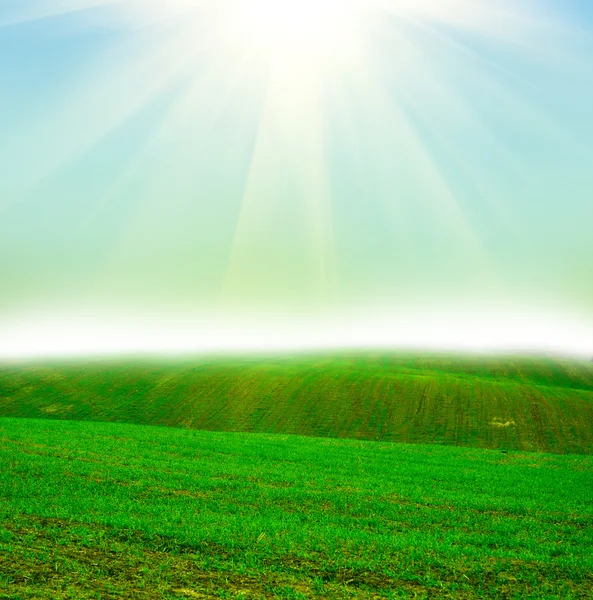 Veld bij zonsondergang — Stockfoto