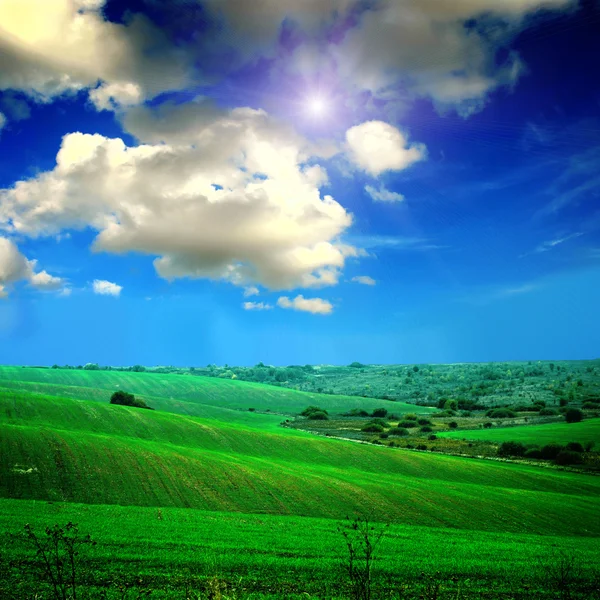 Grüne Wiese mit dem Himmel — Stockfoto