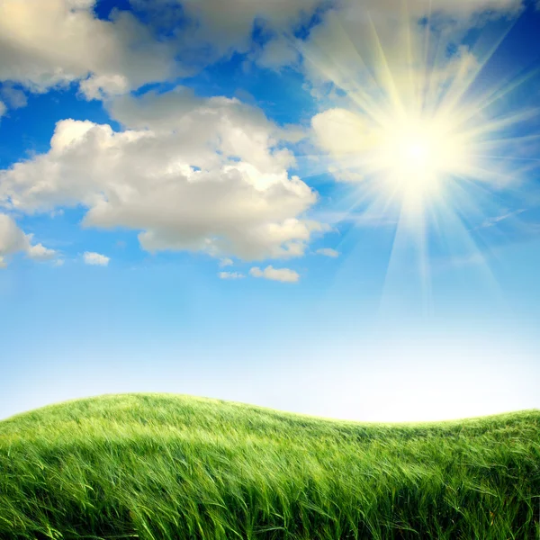 Green field with the sky — Stock Photo, Image