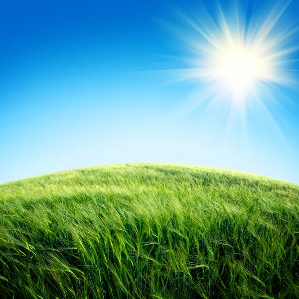 Campo verde con il cielo — Foto Stock