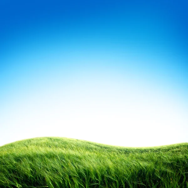 Lapangan hijau dengan langit — Stok Foto