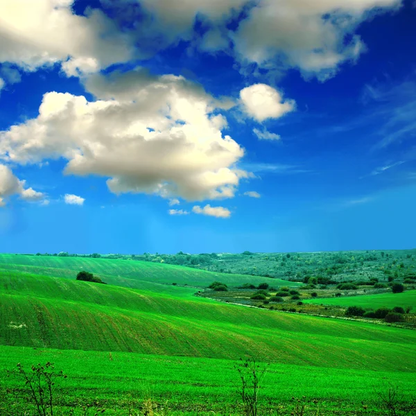 Campo verde con el cielo — Foto de Stock