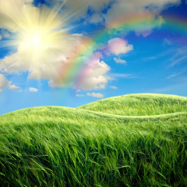 Campo verde con il cielo — Foto Stock