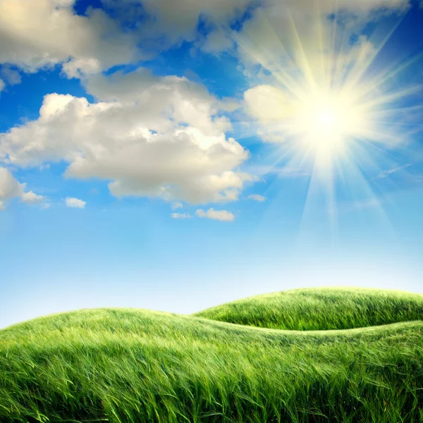 Зеленое поле с небом — стоковое фото