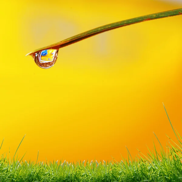 Vatten droppar på gul bakgrund — Stockfoto