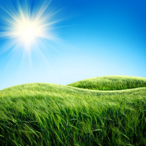 Green field with the sky — Stock Photo, Image