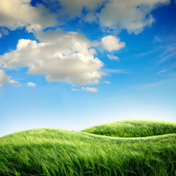 Green field with the sky — Stock Photo, Image