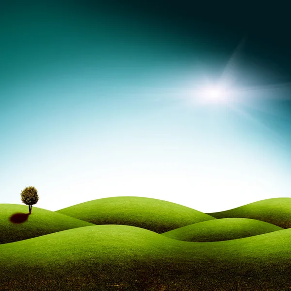 Albero sul campo verde — Foto Stock
