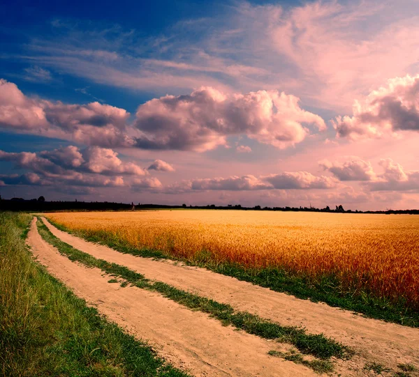 Estrada terrestre ao pôr-do-sol — Fotografia de Stock