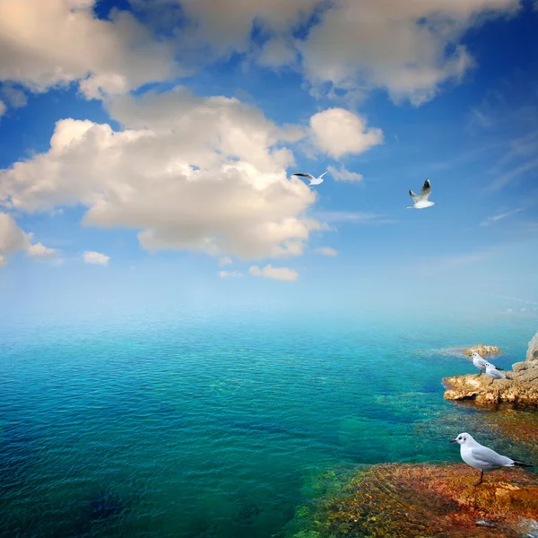 Blauwe zomer zee — Stockfoto
