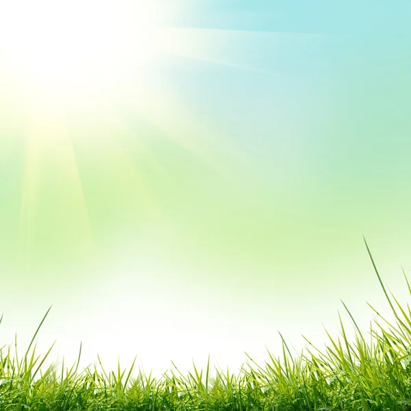 Green grass with on the green background — Stock Photo, Image