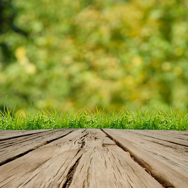 Schönheit natürlichen Hintergrund — Stockfoto