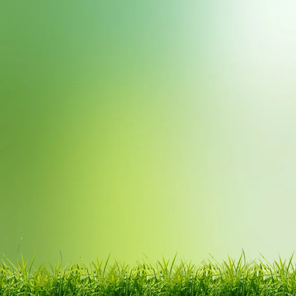 Campo verde com o céu — Fotografia de Stock