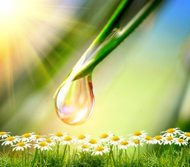 Yeşil arkaplanda su damlası