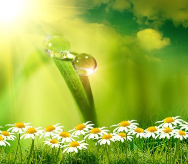 Yeşil arkaplanda su damlası