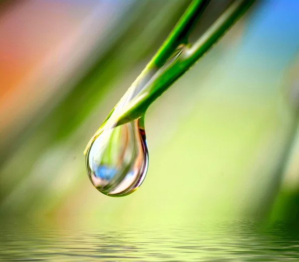 Gota de agua sobre el fondo verde — Foto de Stock