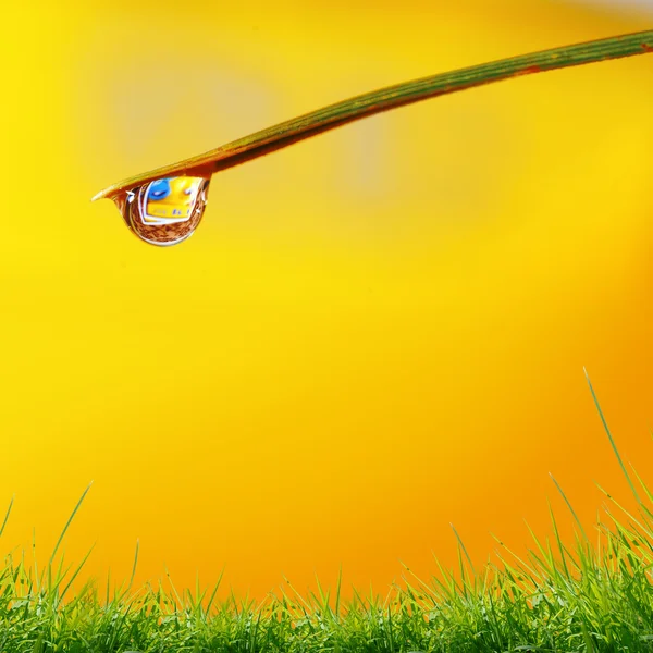 Gouttes d'eau sur fond jaune — Photo