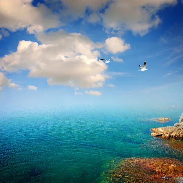 Mar azul de verano —  Fotos de Stock