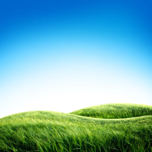 Campo verde con el cielo — Foto de Stock