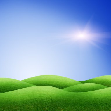 Yeşil Tarladaki Ağaç