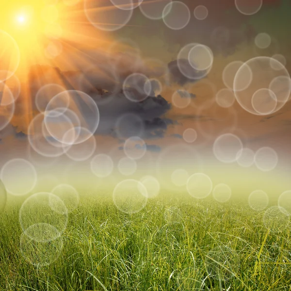 Grön natur bakgrund — Stockfoto