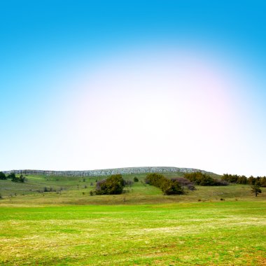 Sahada yeşil çimenler