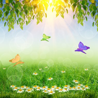 Yeşil doğa arkaplanı