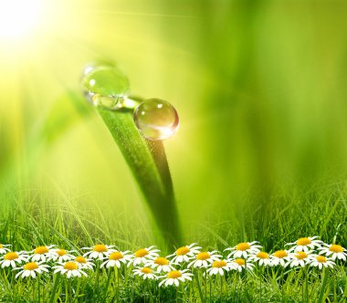 Yeşil arkaplanda su damlası