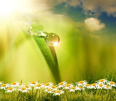 Yeşil arkaplanda su damlası