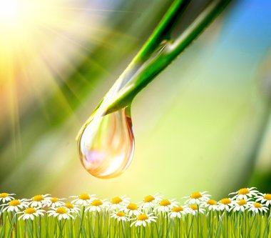 Yeşil arkaplanda su damlası