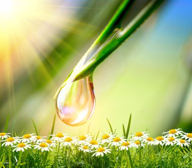 Yeşil arkaplanda su damlası