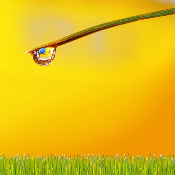 Wassertropfen auf gelbem Hintergrund — Stockfoto