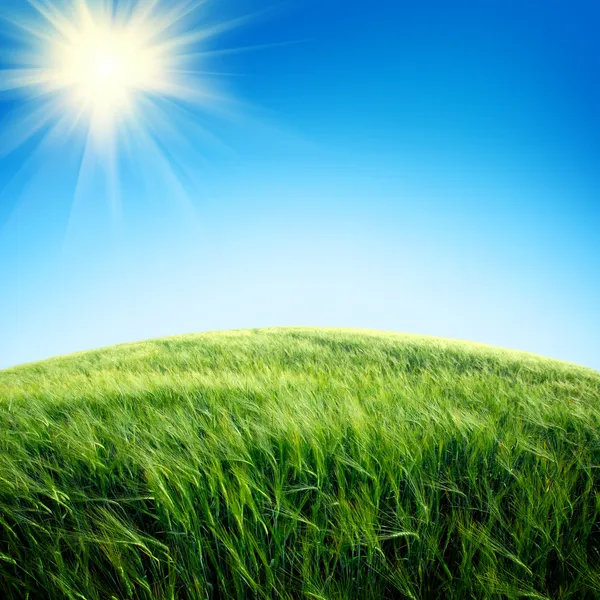 Groen veld met de hemel — Stockfoto
