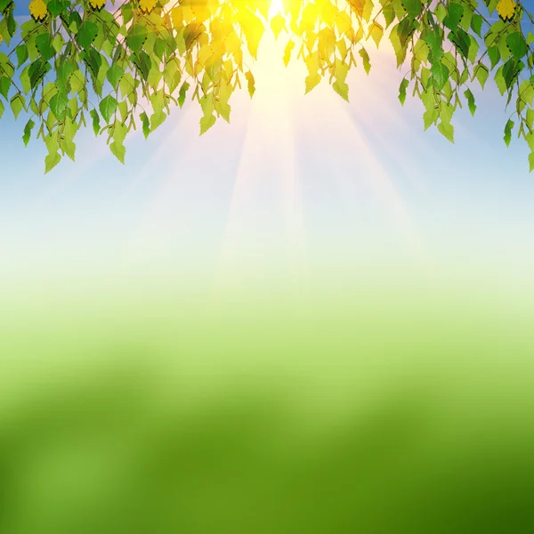 Hintergrund der grünen Natur — Stockfoto