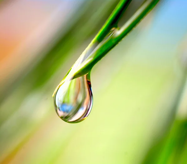 Waterdruppel op de groene achtergrond — Stockfoto