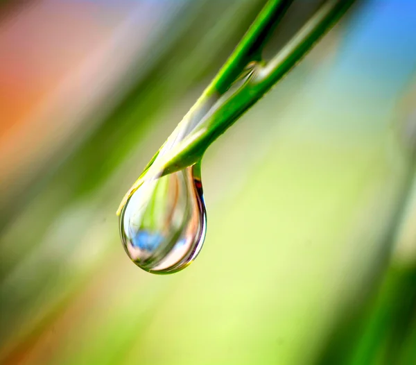 Gota de agua sobre el fondo verde — Foto de Stock