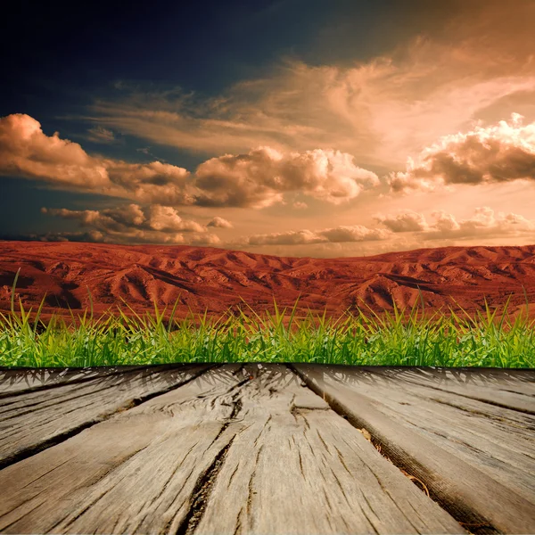 The wooden background — Stock Photo, Image