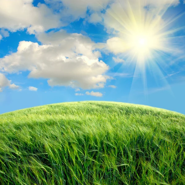 Campo verde con il cielo — Foto Stock