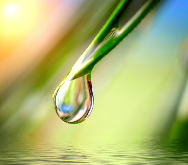 water drop on the green background clipart