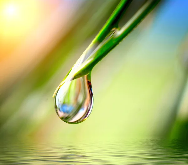 Goccia d'acqua sullo sfondo verde — Foto Stock