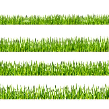 Yeşil doğa arkaplanı