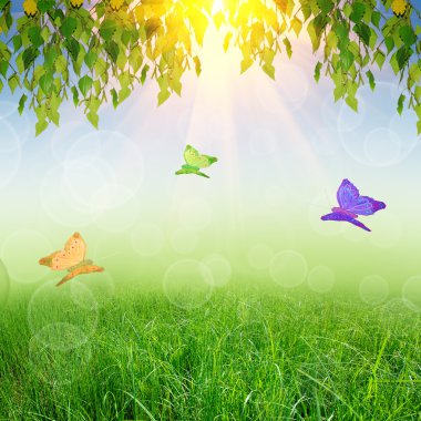 Yeşil doğa arkaplanı