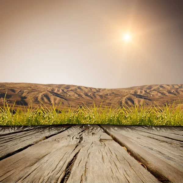 Le fond en bois — Photo