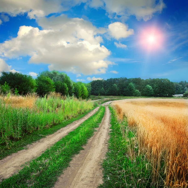 Marken road i fälten — Stockfoto