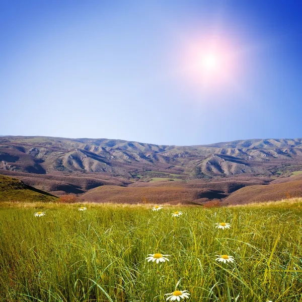 Lato pole z mountians — Zdjęcie stockowe