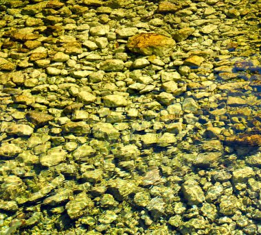 taş su swa arka plan