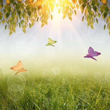 Yeşil doğa arkaplanı